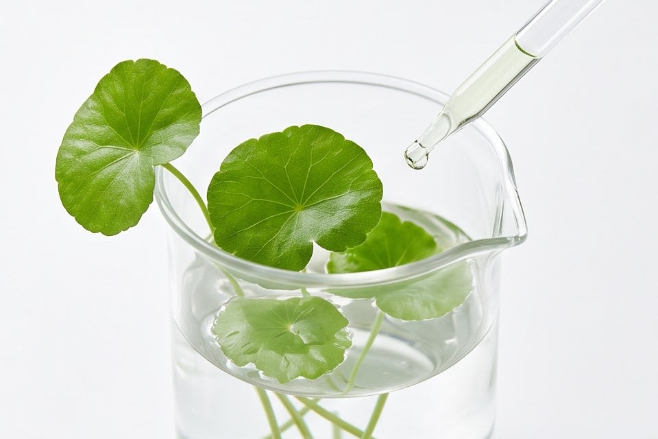 A plant in a beaker and ingredients being extracted with a dropper