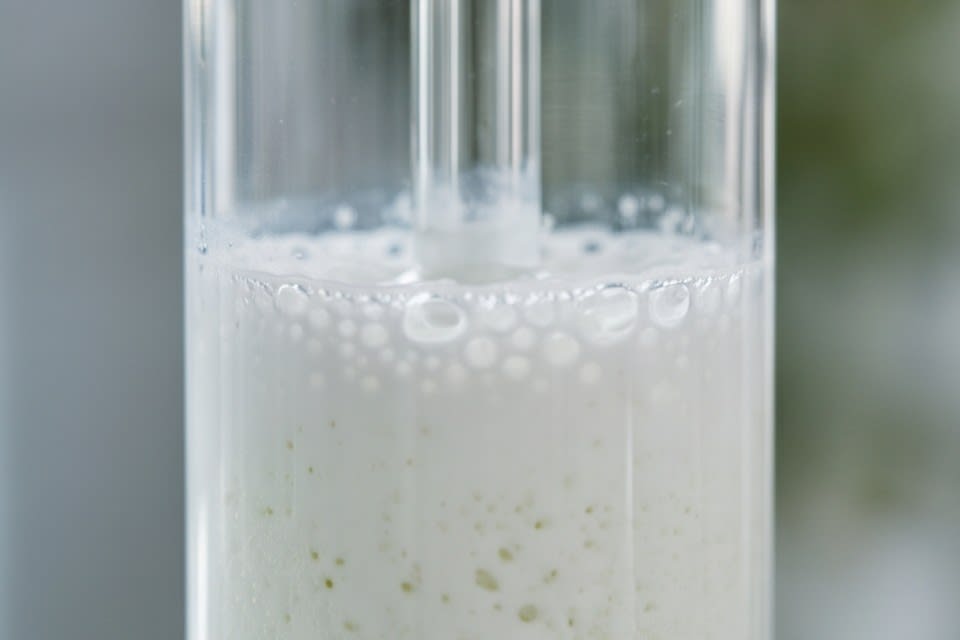 A cream emulsion texture in a milky fluid state mixed with bubbles inside a transparent container.