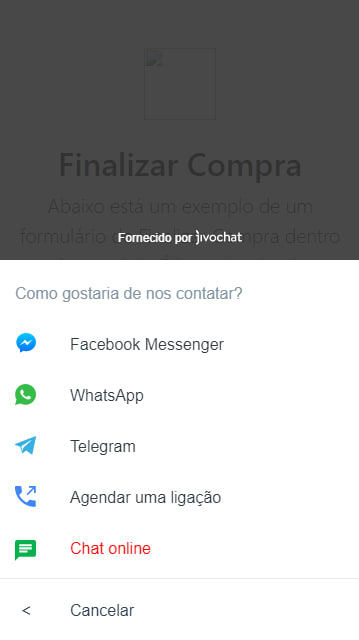 Exemplo do botão WhatsApp no JivoChat