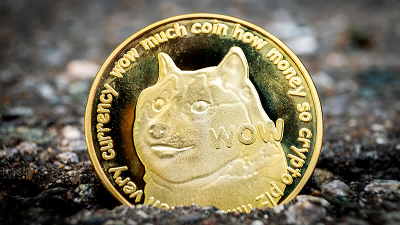 Imagem de uma Dogecoin com a figura do cachorro Shiba Inu na moeda