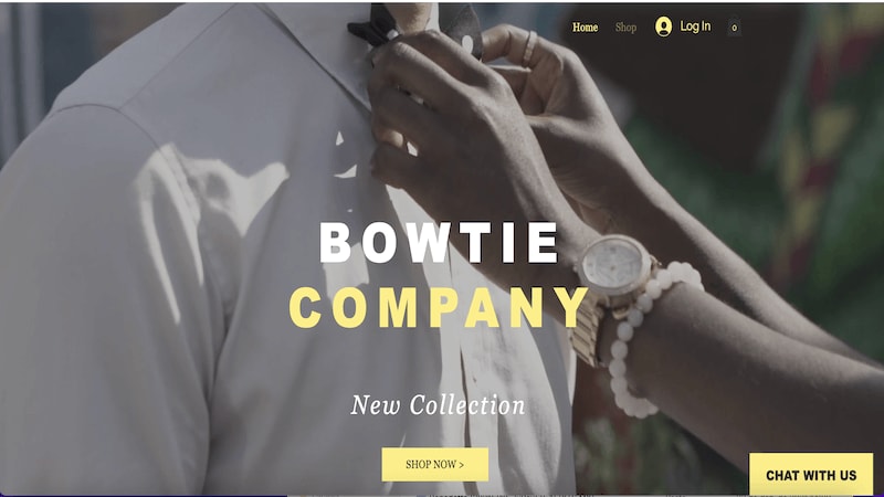 Bowtie Company template