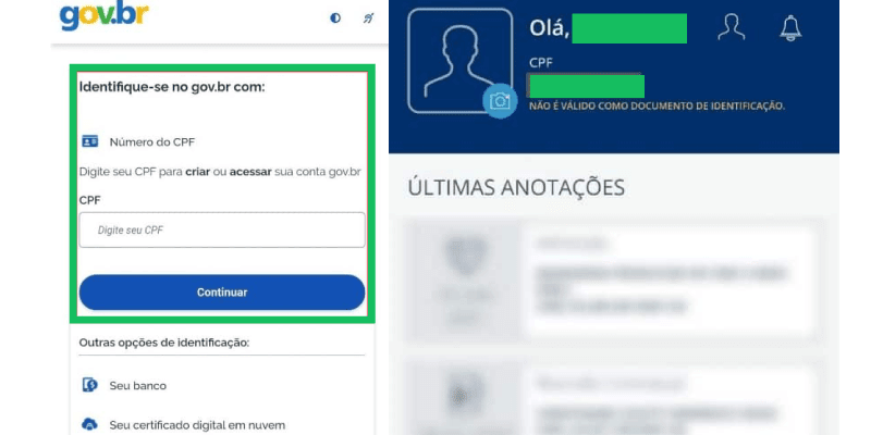 Printscreen da última etapa de acesso a carteira de trabalho online