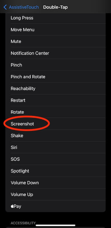 iPhone assistive touch screen showitng the double-tap options