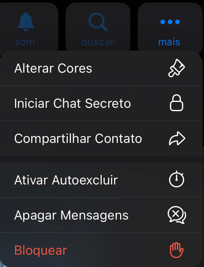 Captura de tela do menu do Telegram