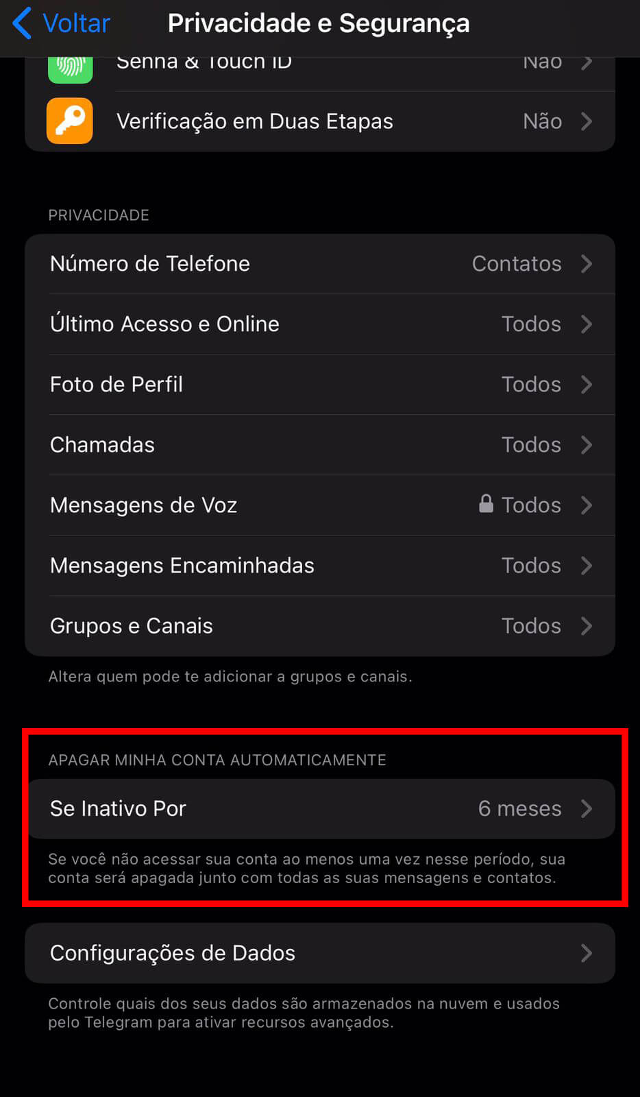 Menu de privacidade e segurança Telegram