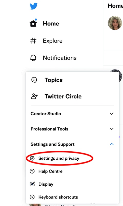 Twitter menu, the "settings and privacy" button is highlighted.