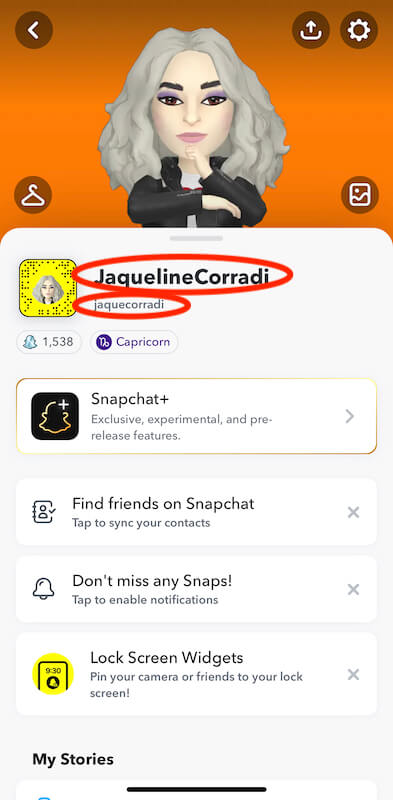 Snapchat profile 