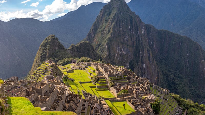 imagem panorâmica do Machu Picchu com lhamas pastando