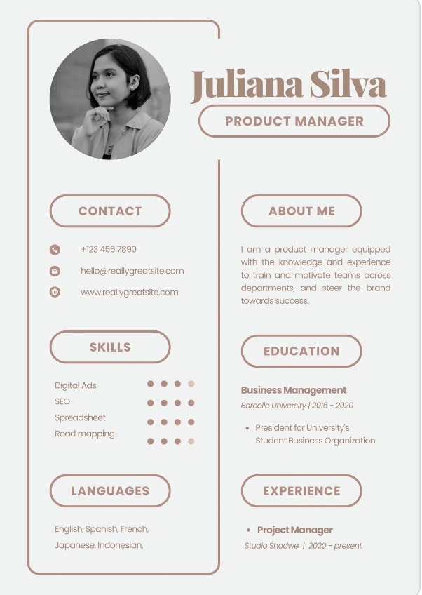 Resume example with a modern style