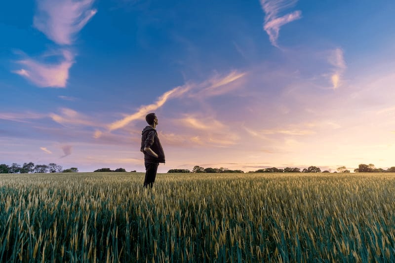 The image shows a person in a grass field, looking to the sky.