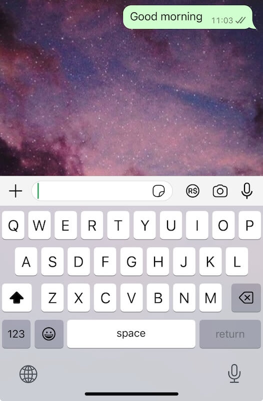 Two grey check marks on WhatsApp
