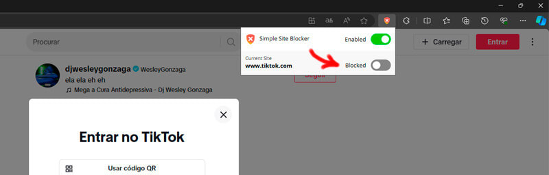 captura de tela mostrando como bloquear site com o simple site blocker