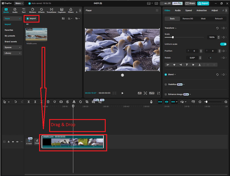 CapCut interface import your media example