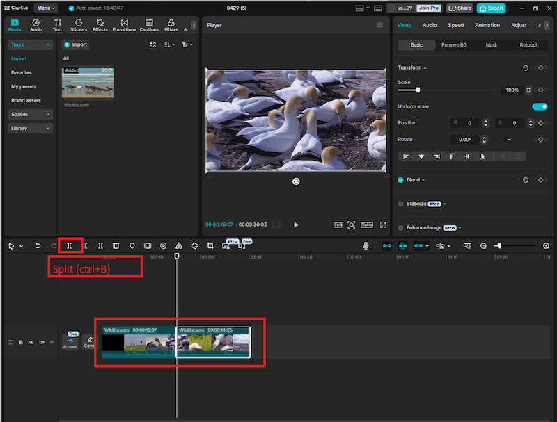 Cupcat desktop interface trim and cut example