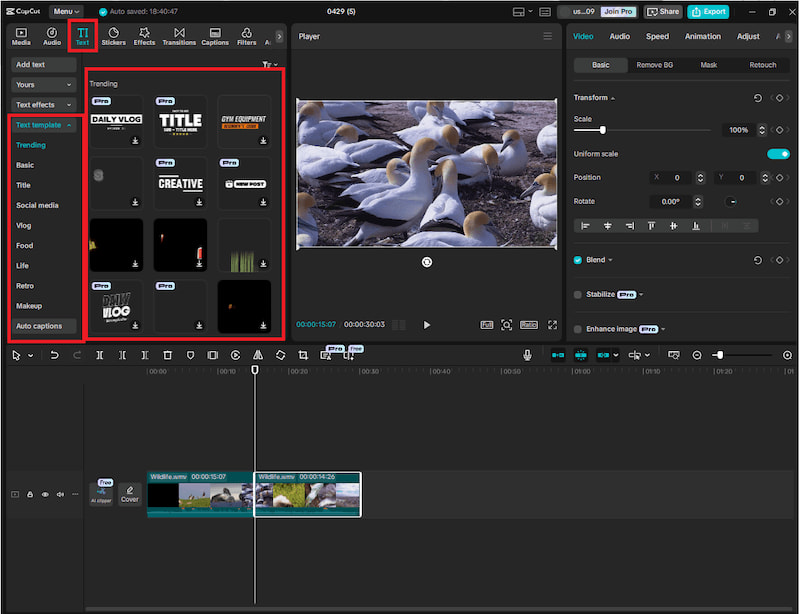 CapCut interface example of how to add subtitles