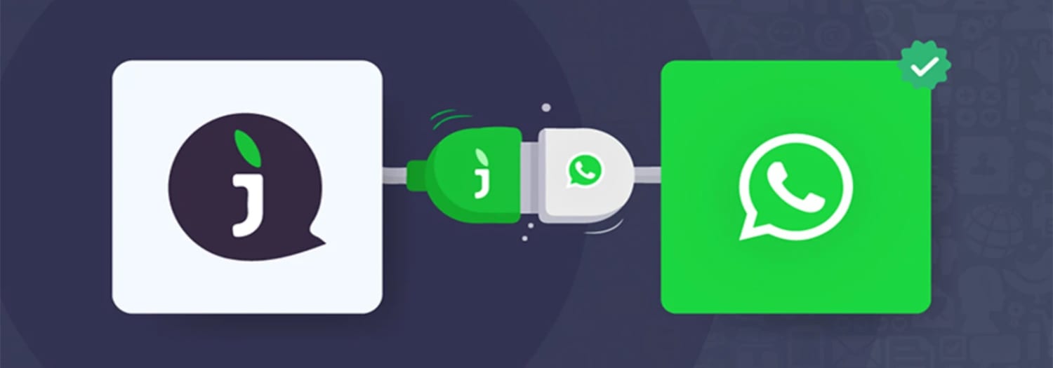 API WhatsApp: TUDO que você precisa saber | JivoChat