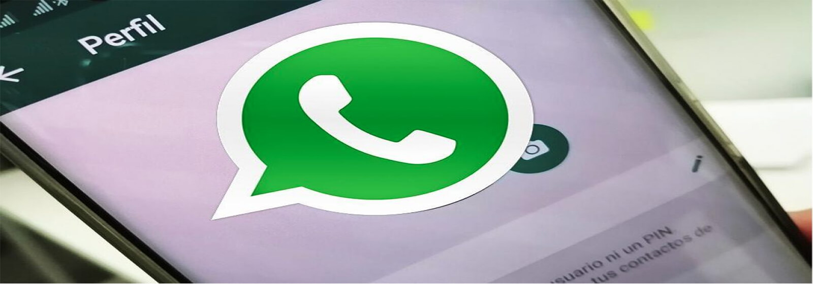 Fotos para perfil do WhatsApp: Onde encontrar e como mudar?