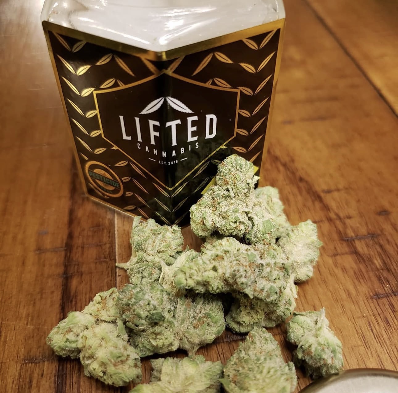 POPCORN STARDAWG