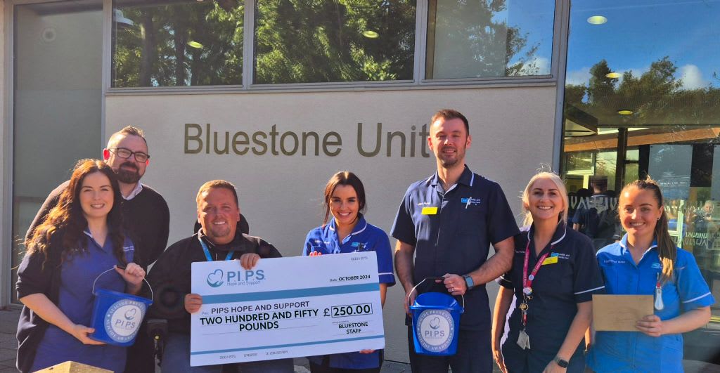 Bluestone Units Staff Development Day Supports PIPS