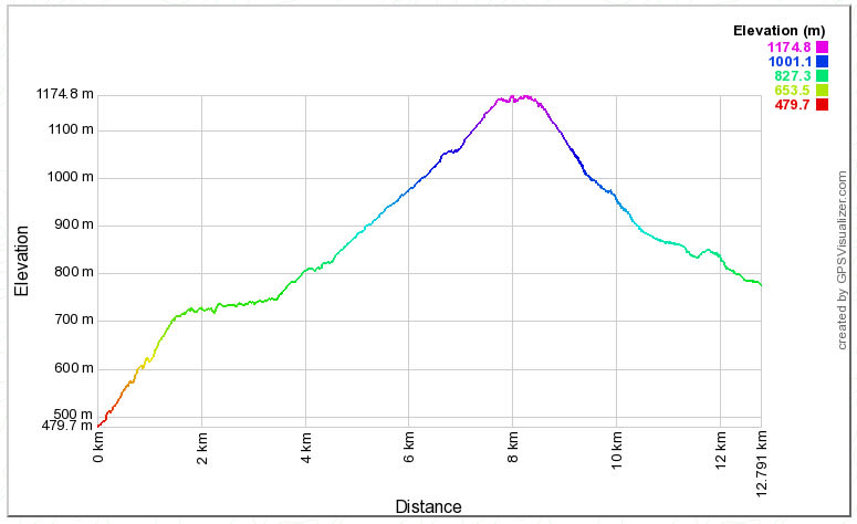 traccia gps