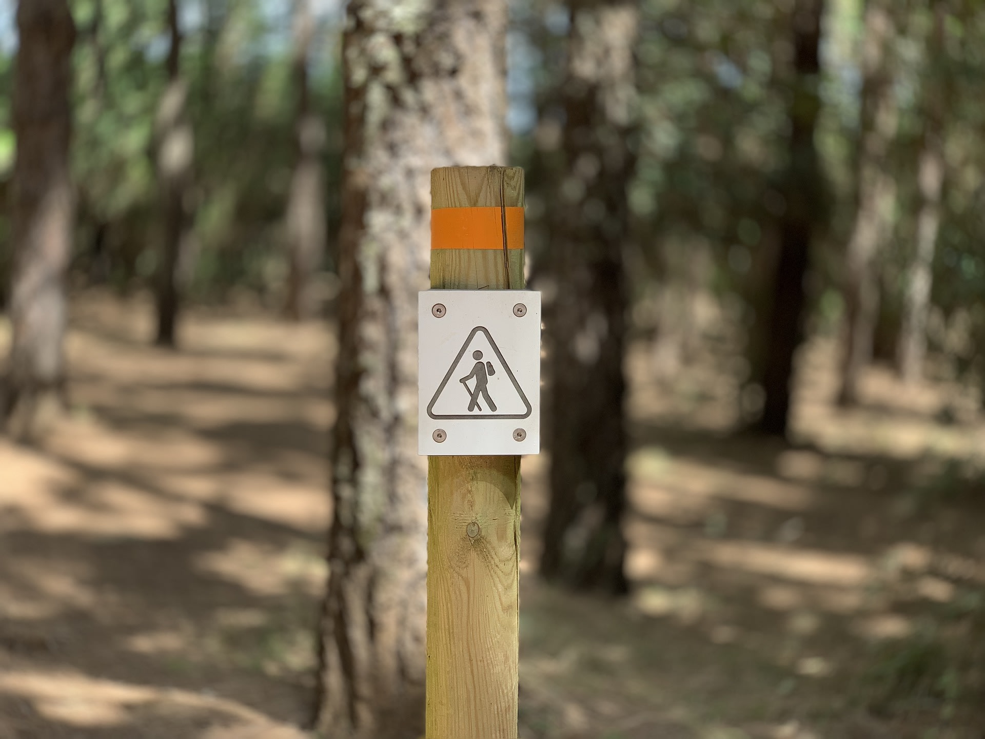 Mappe dei sentieri gratuite per escursioni outdoor