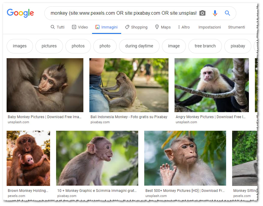immagini liberamente utilizzabili