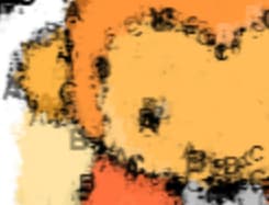 ridisegnare un'immagine