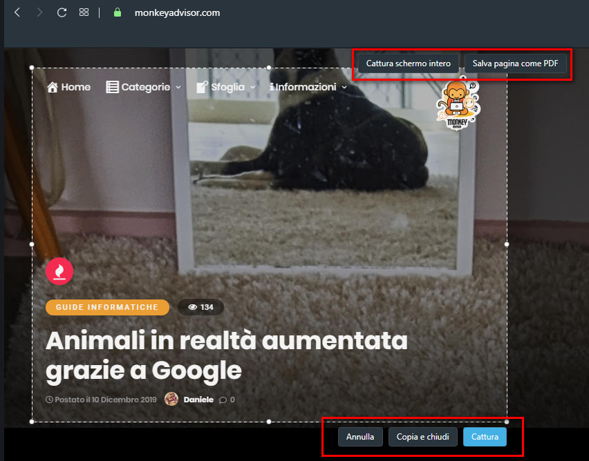 opera