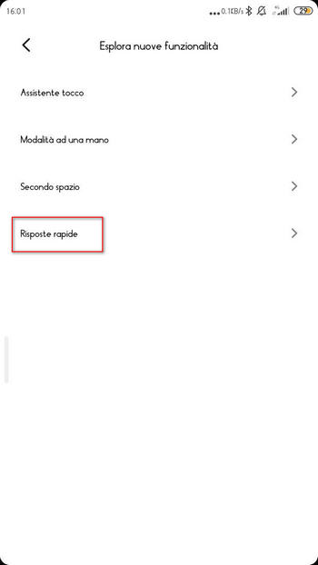 whatsapp in una finestra flottante