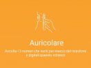auricolare