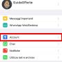 Screen WhatsApp 5