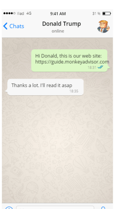 fake chat