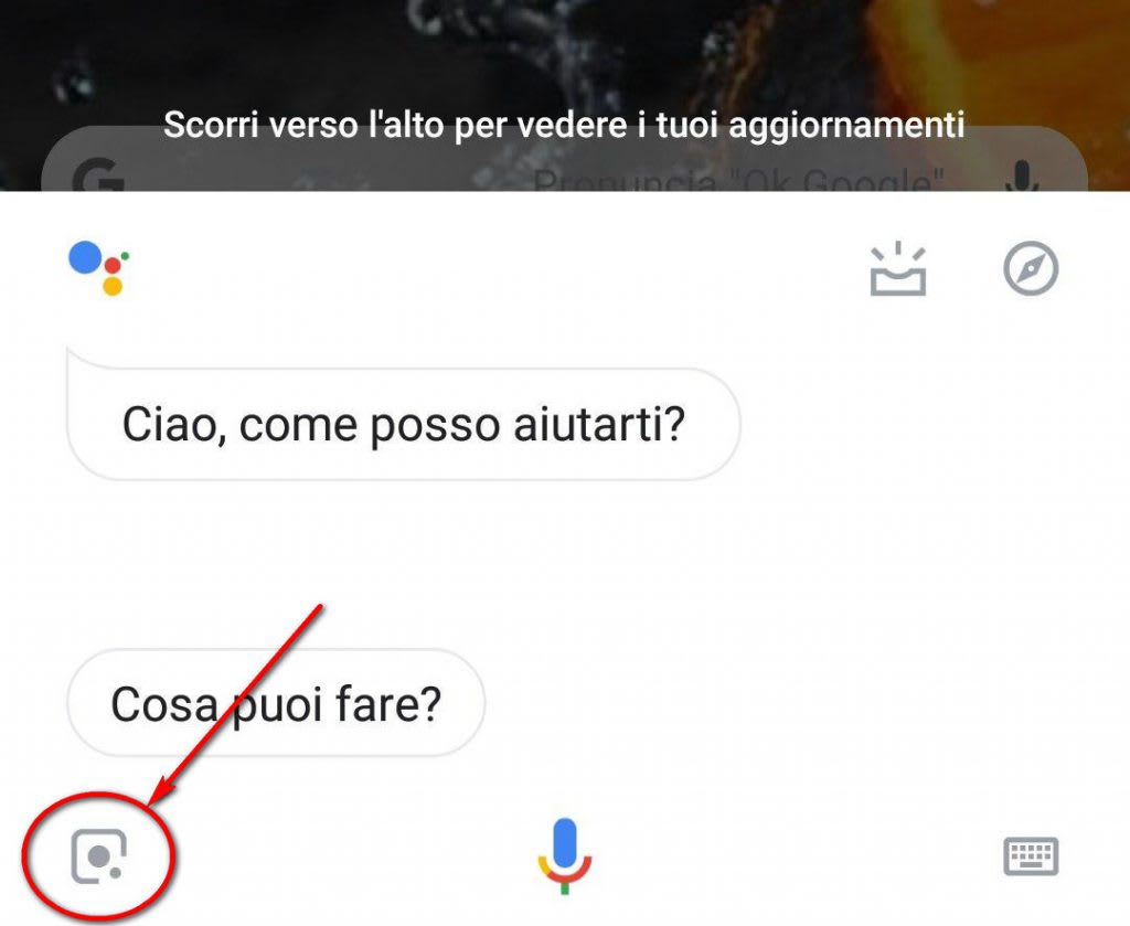 ricerca