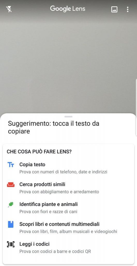 ricerca