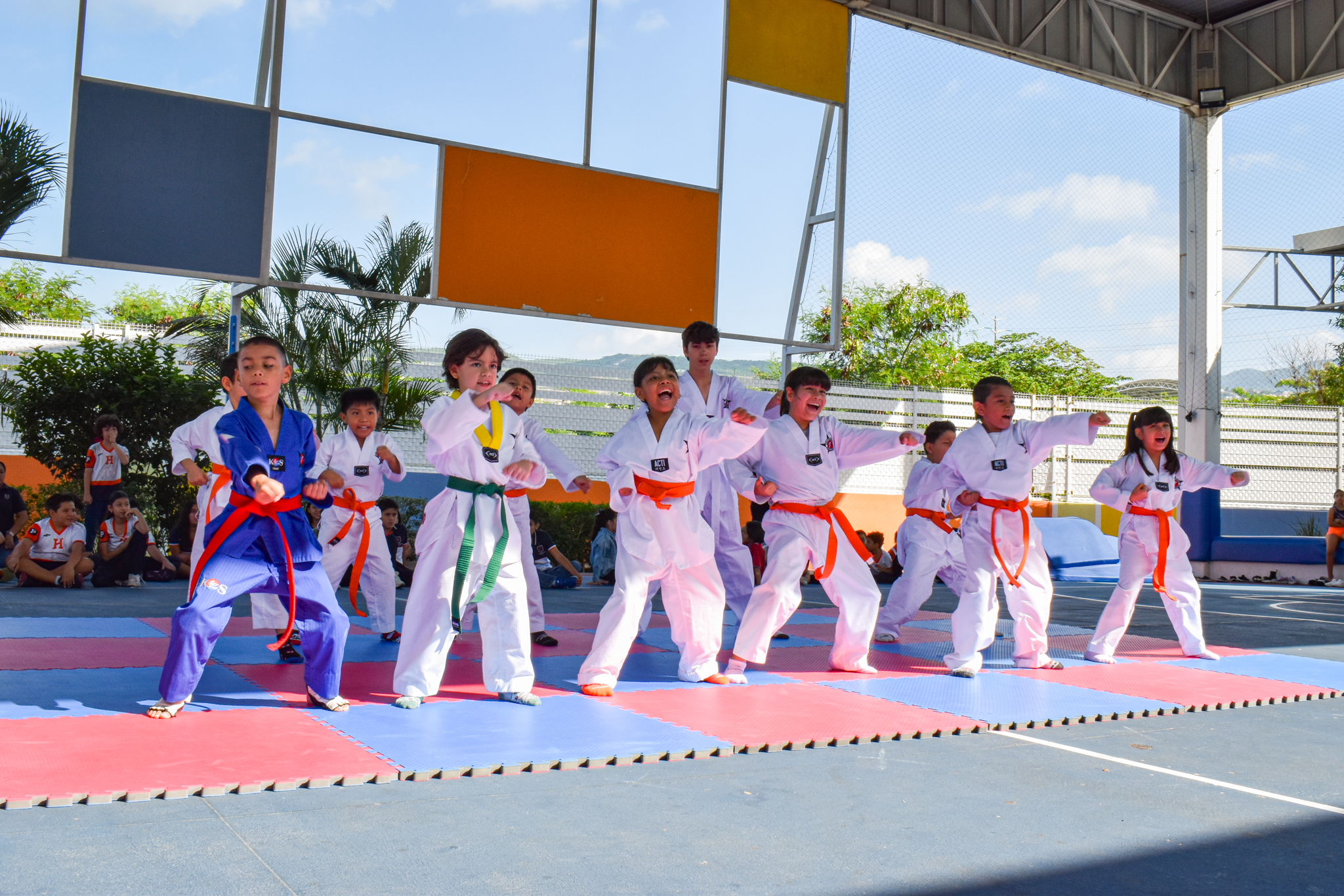 Programa extracurricular 2