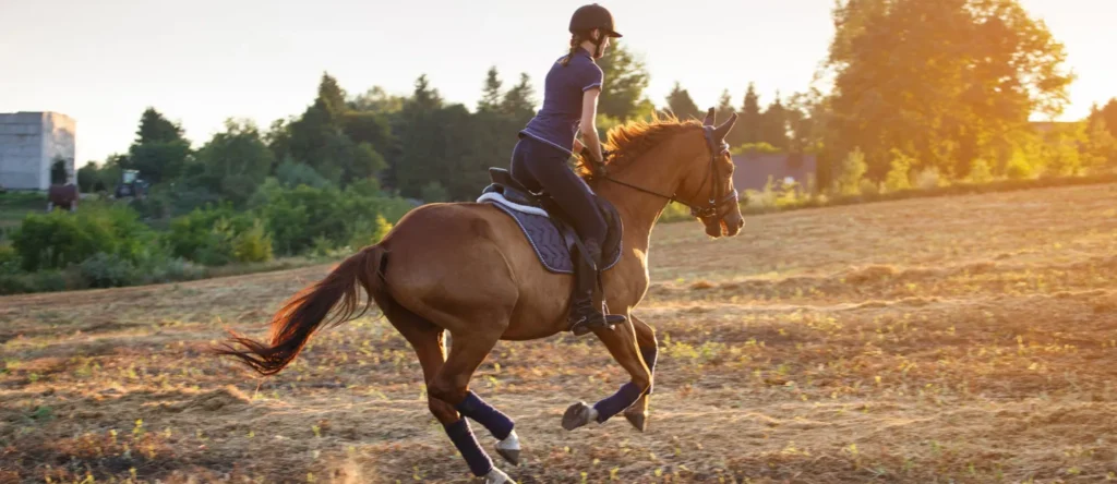 horse riding in Dubai