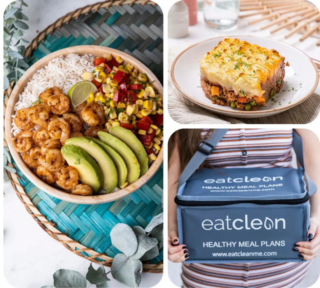 meal delivery services in Dubai