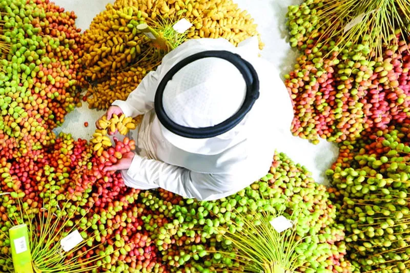 Dubai Dates Festival