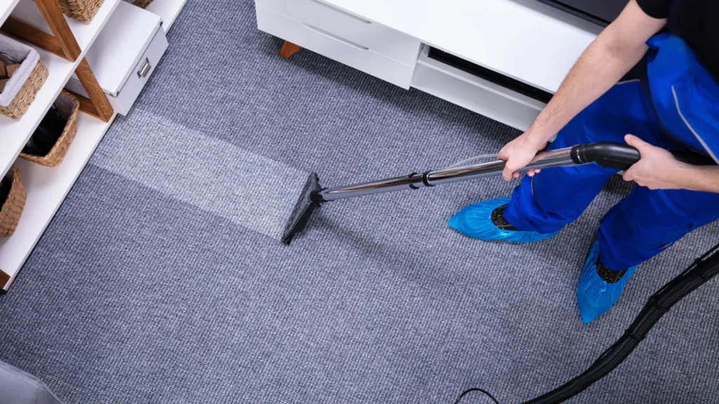 carpet cleaning companies