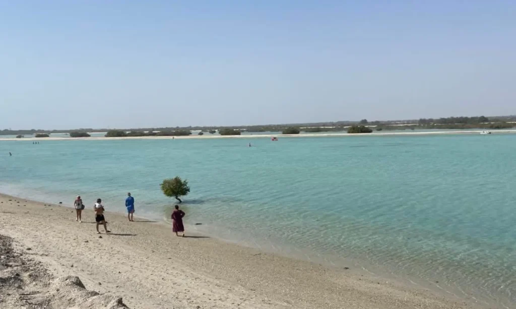 safety tips on Sir Bani Yas Island 