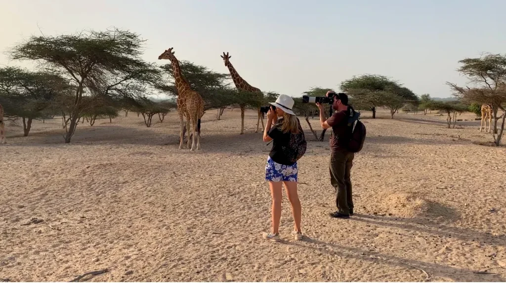 visit Sir Bani Yas Island