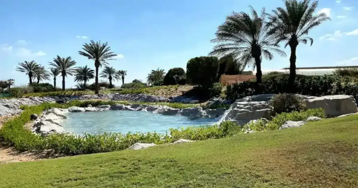 Enchanting Green Oasis: Ultimate Guide to Common Plants on Sir Bani Yas Island(2025)