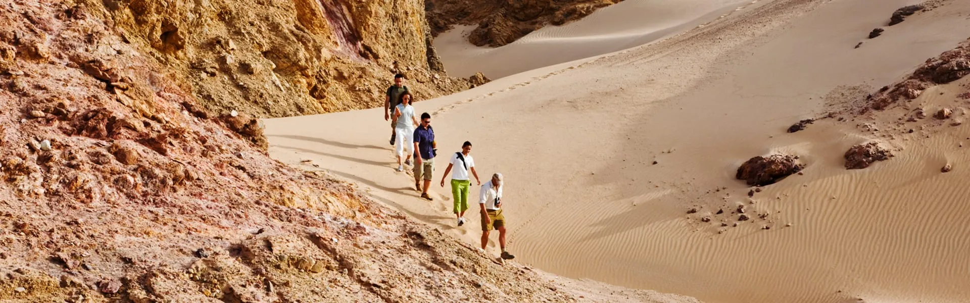 Short Walking Trails on Sir Bani Yas Island for Nature Loving Visitors: An Ultimate Guide in 2025