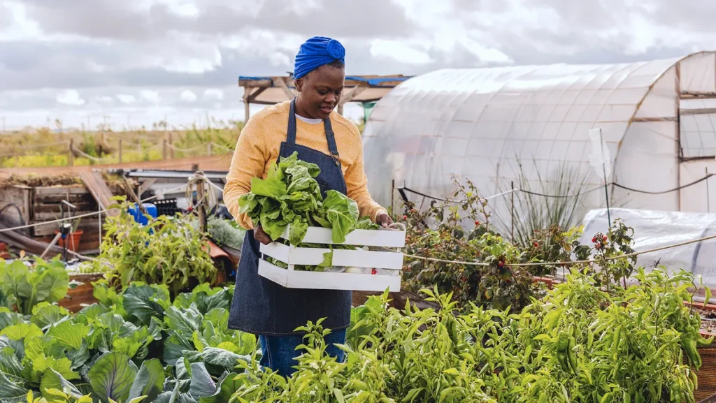 protein-alternative cuisine