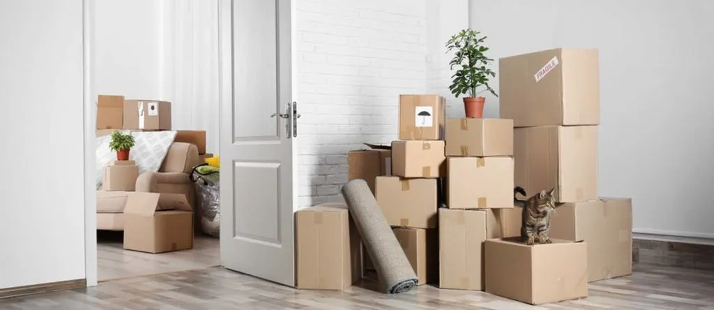 moving services in Abu Dhabi