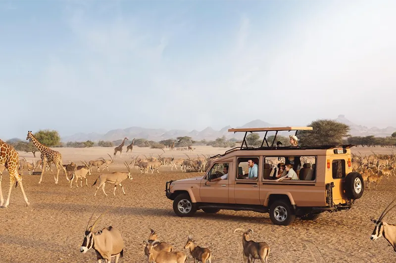 guidelines for visiting Sir Bani Yas Island