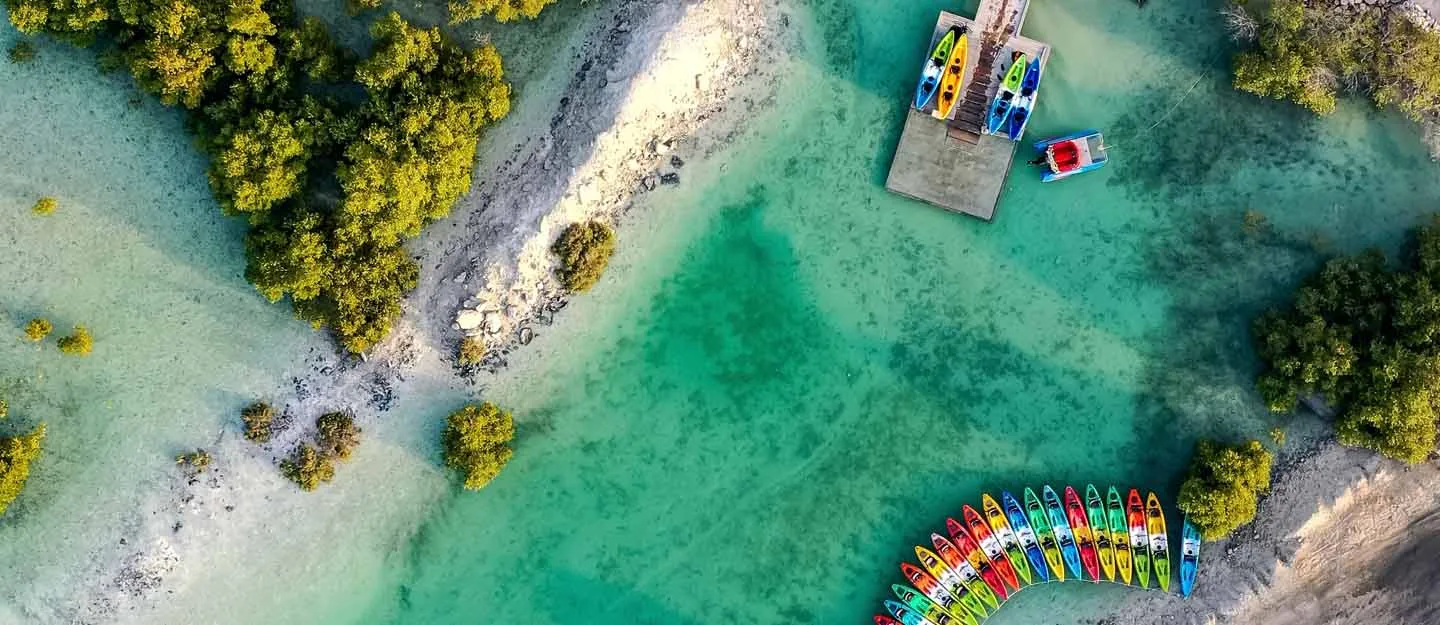 Unforgettable Adventures Among the Mangroves on Sir Bani Yas Island: Your Ultimate 2025 Eco Travel Guide