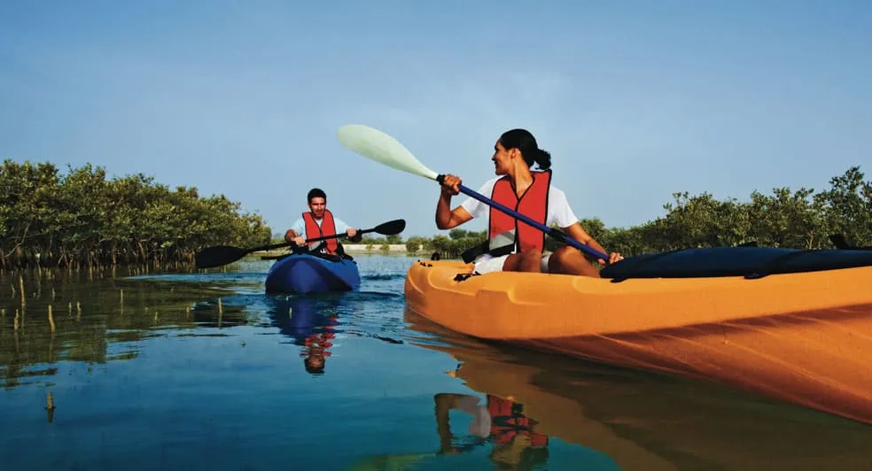 mangroves on Sir Bani Yas Island