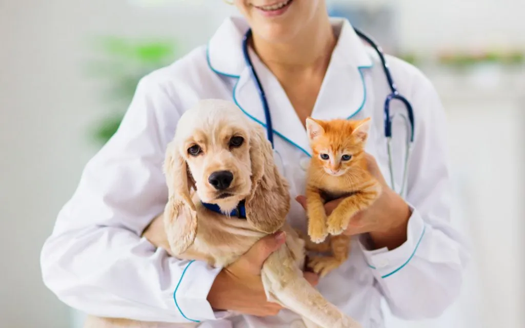 Vet Clinics in Sharjah