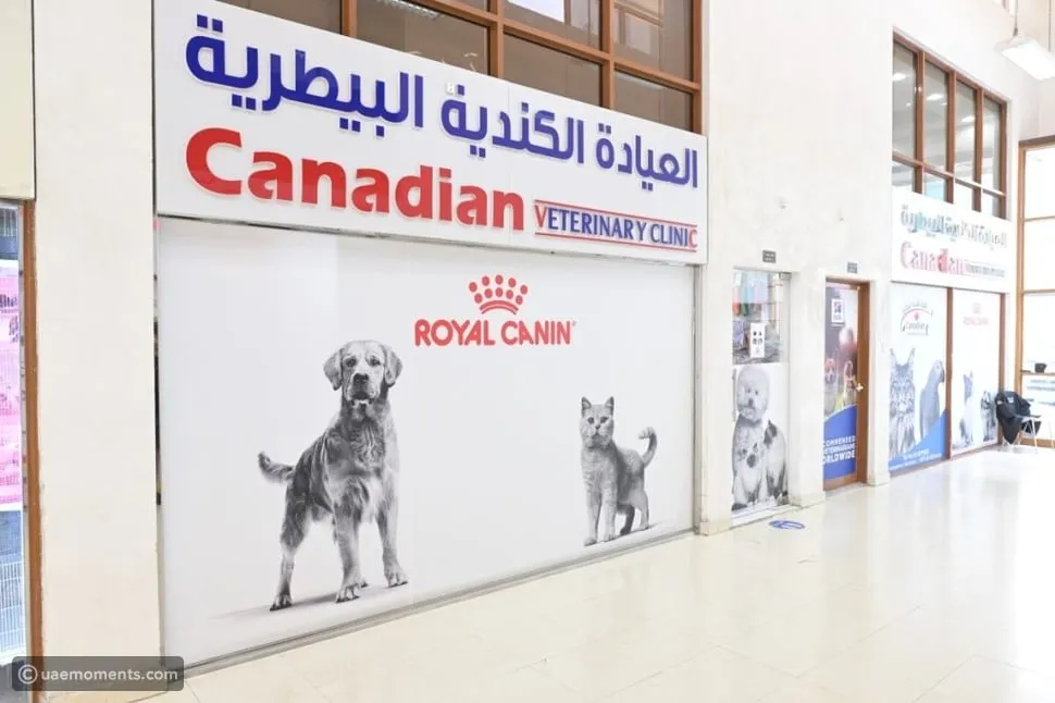 vet clinics in Fujairah